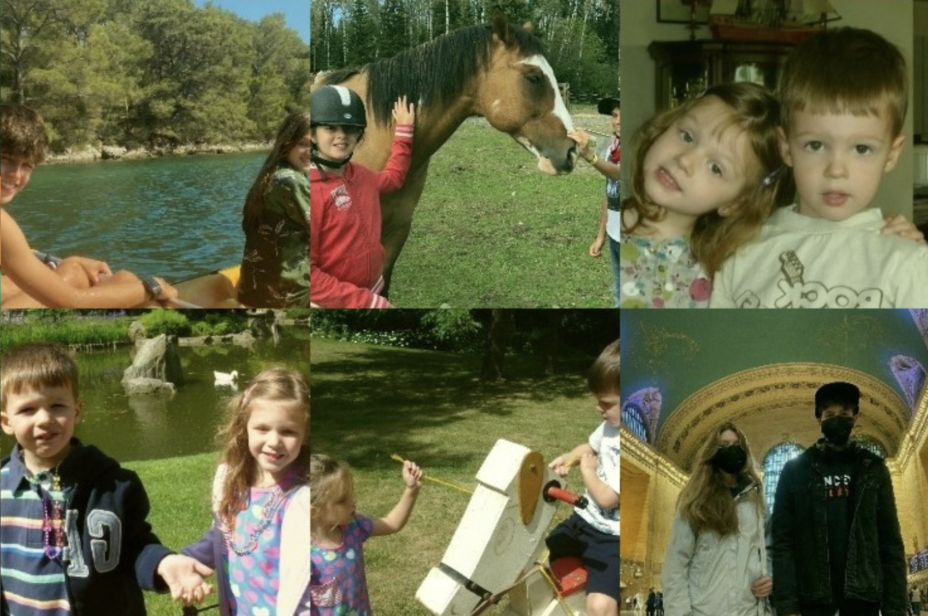 Close-up showing individual photos in the iris.