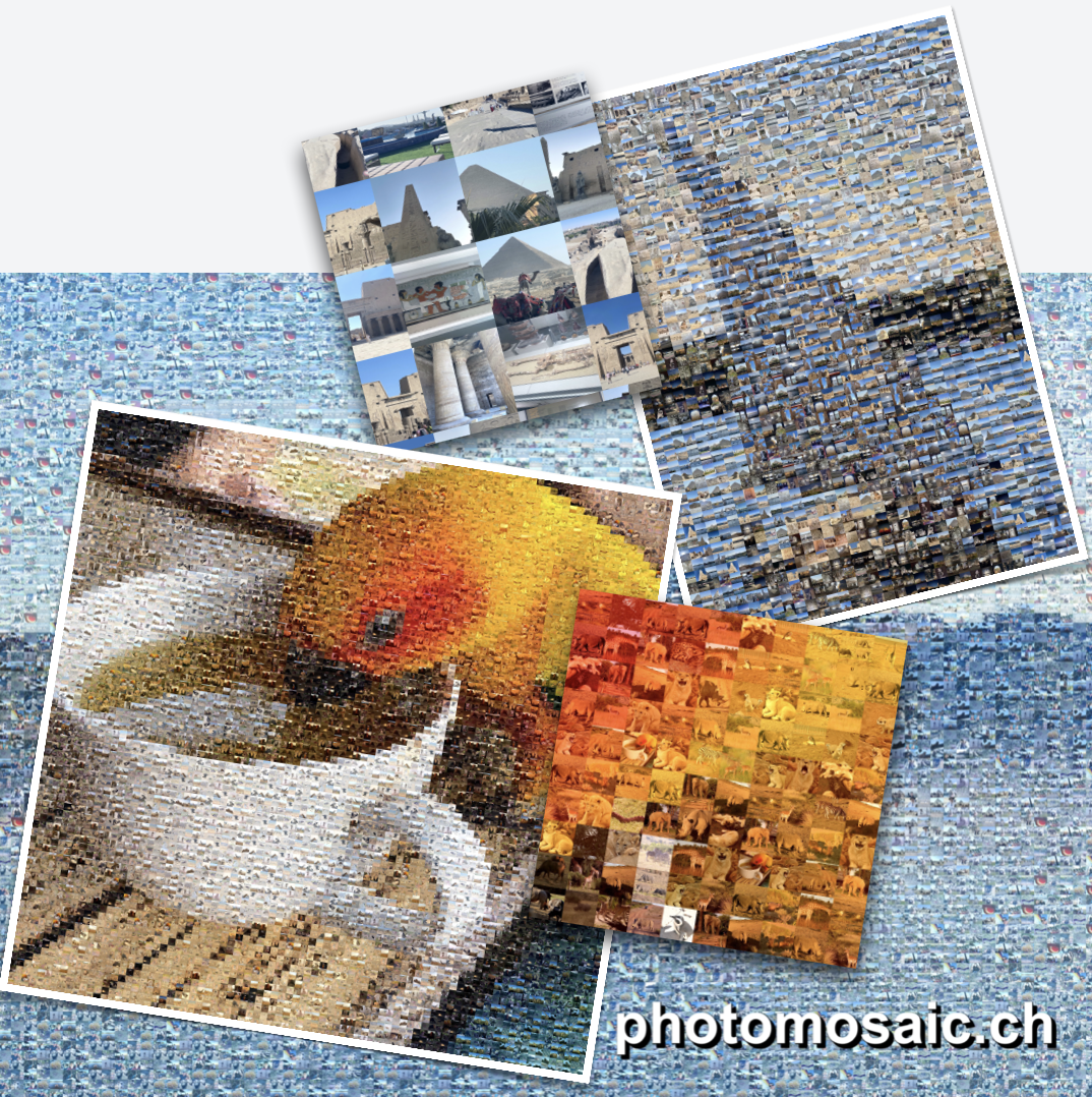 Photo Mosaic Showcase